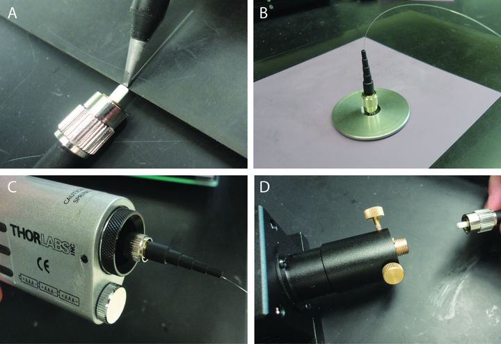 Close-up photographs of optical fibre ferrules and implants.
