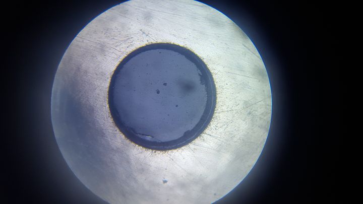 A circular microscope field of view.