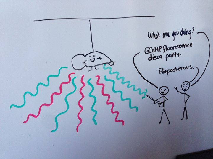 Whiteboard drawing of a mouse with coloured lines running from its head and a speech bubble.