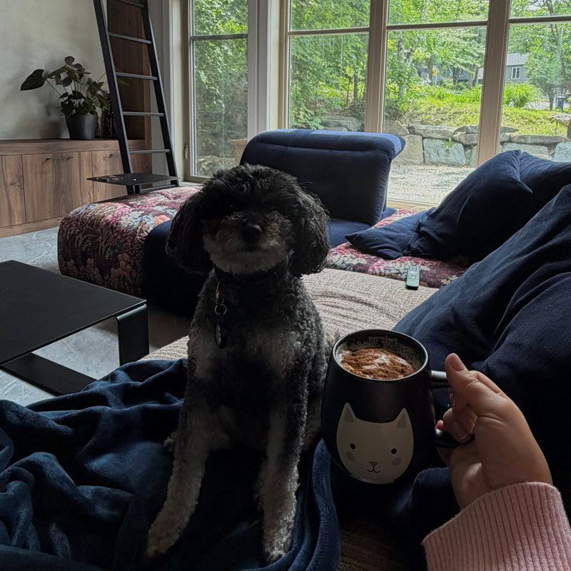 Dog (with Laurie-Michelle Tremblay)